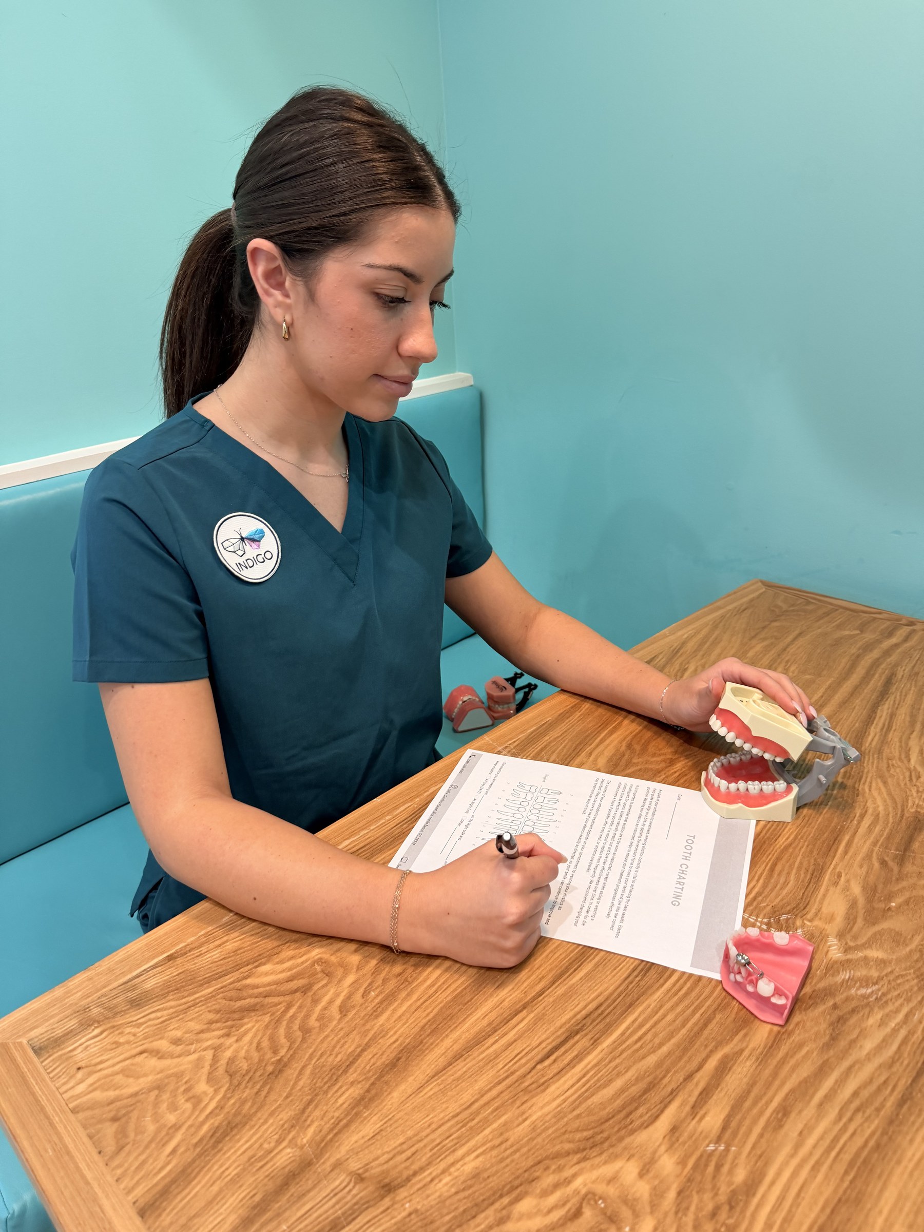 Dental assisting student studying tooth charting